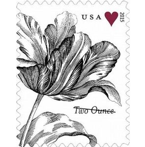 100 Vintage‎ Tulips 2 Ounce Forever 2015 Postage Stamps USPS Wedding Invitations
